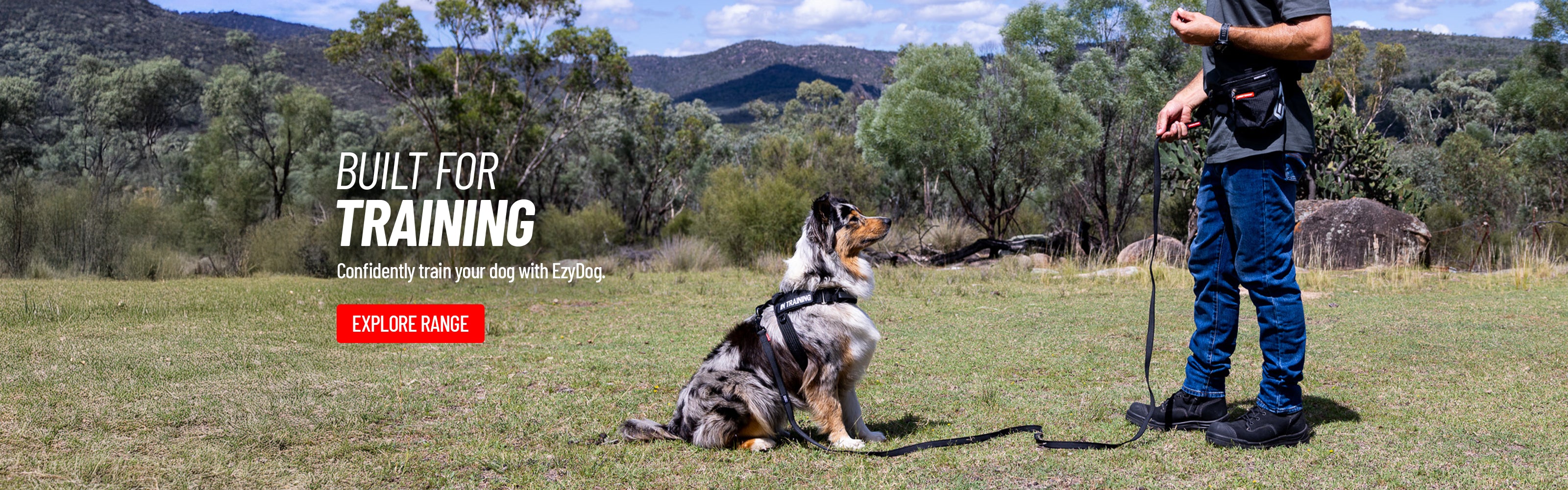 EzyDog Dog Training Range