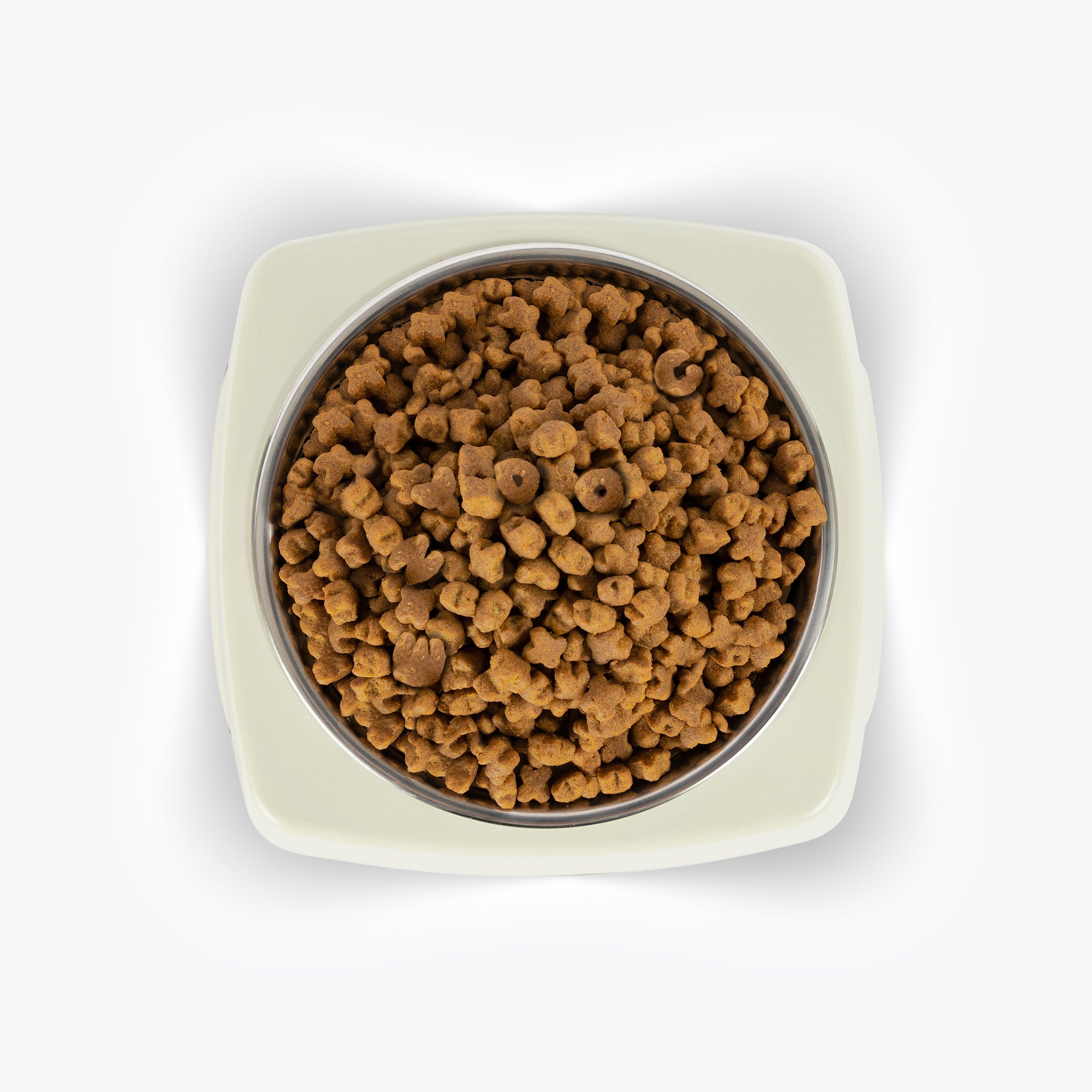 dog food bowl