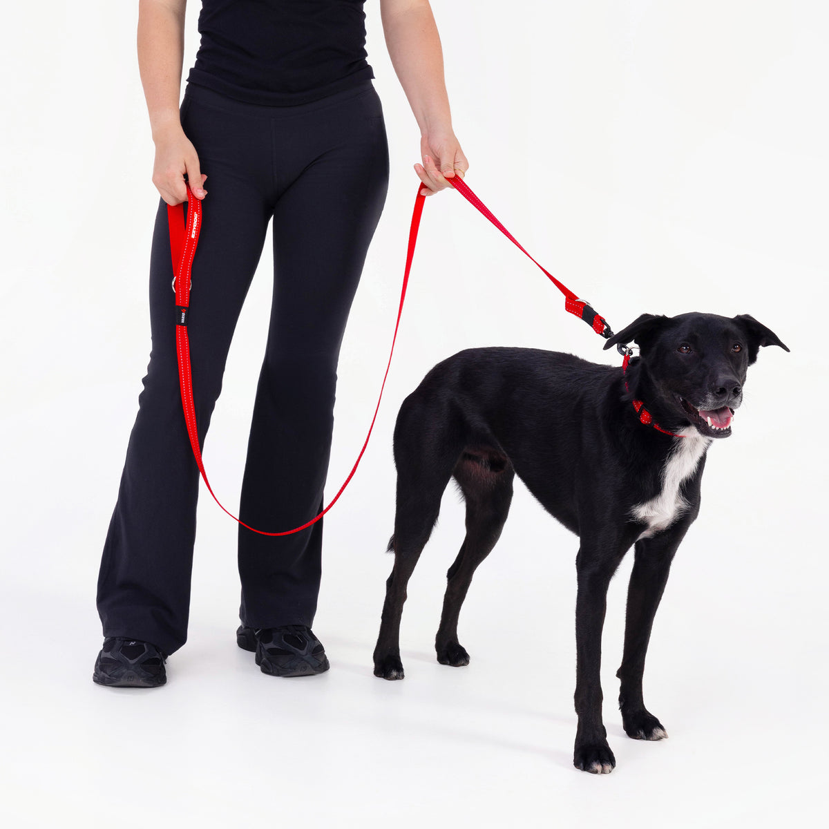 Vario 4 Multi-Function Leash
