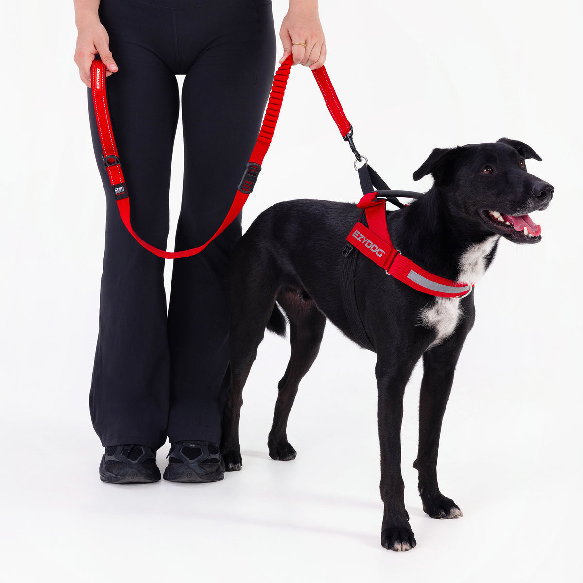 Zero Shock Leash