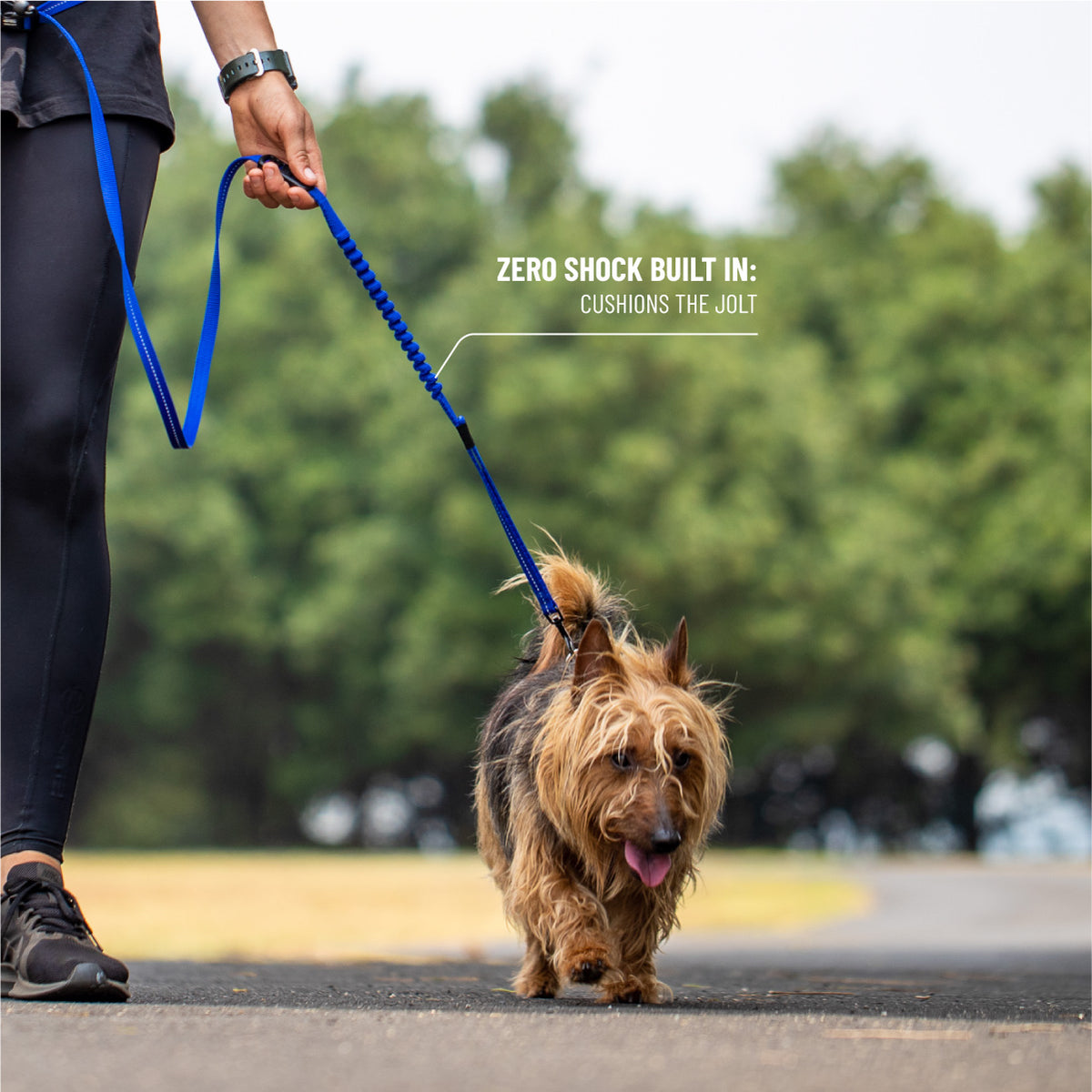 Road Runner Leash - Camo