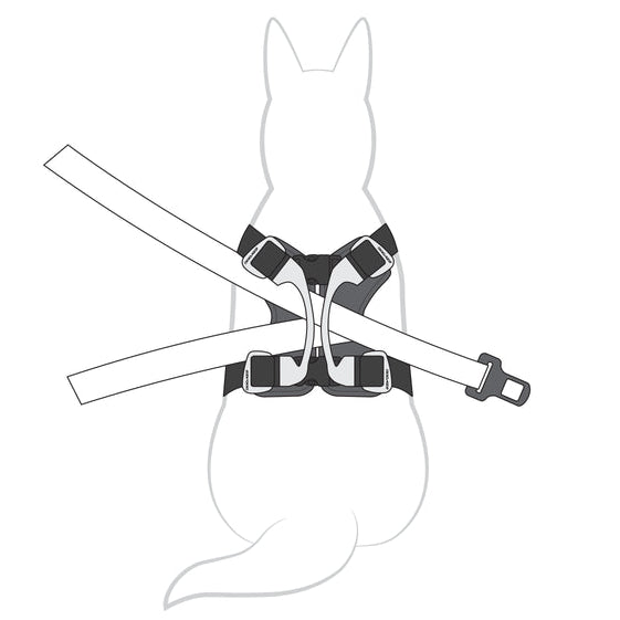 Diagram Showing How to Use EzyDog Drive Car Harness with Seatbelt – Dog Car Safety Illustration