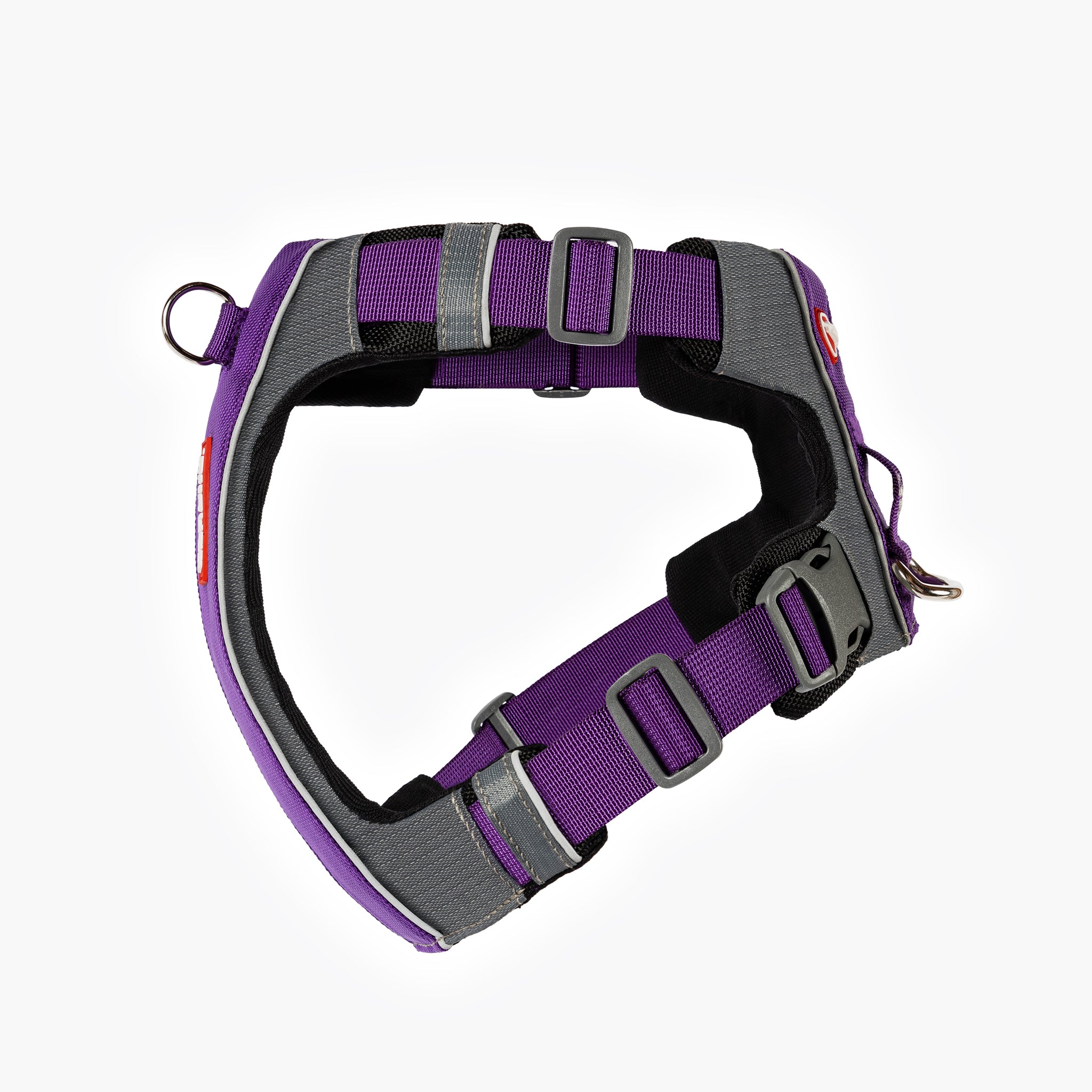 LHS view of purple EzyDog X-Link Harness with padded chest plate and no-pull front clip