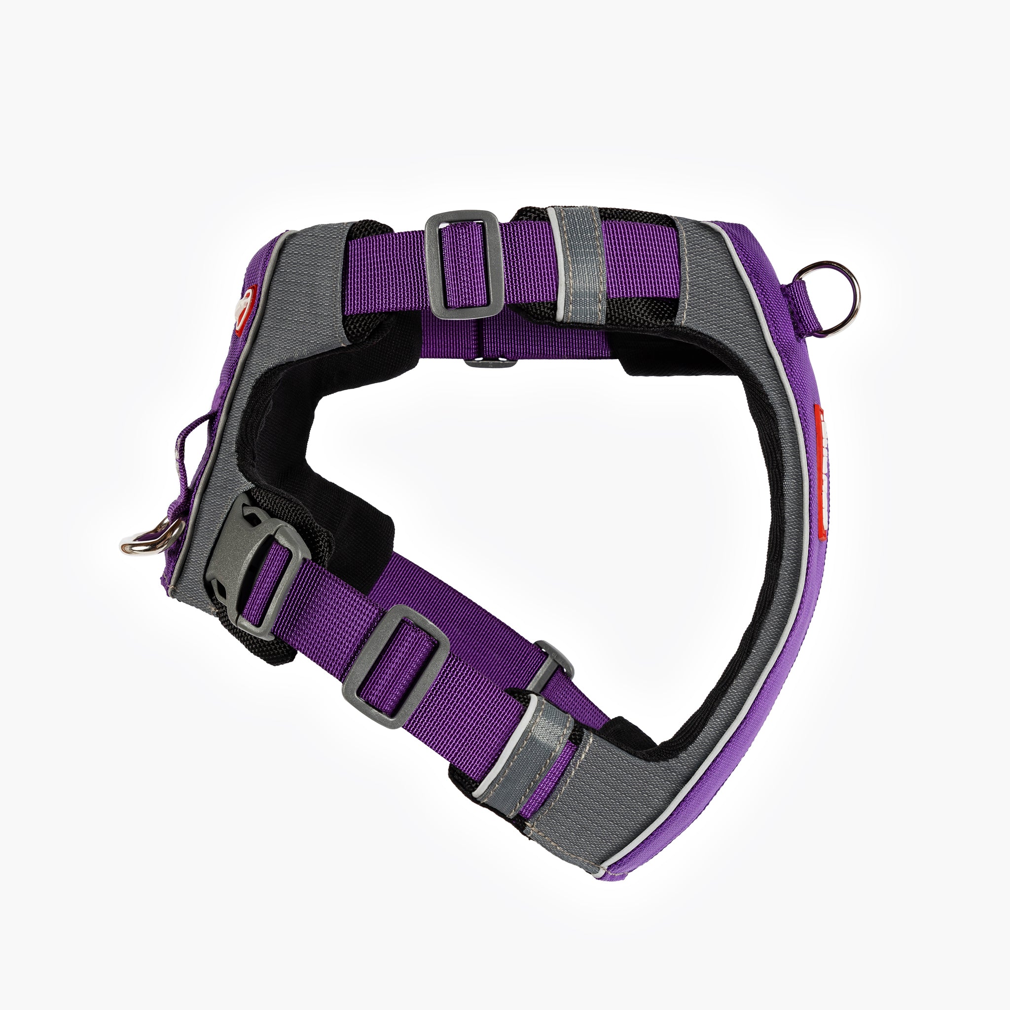 RHS view of purple EzyDog X-Link Harness with padded chest plate and no-pull front clip