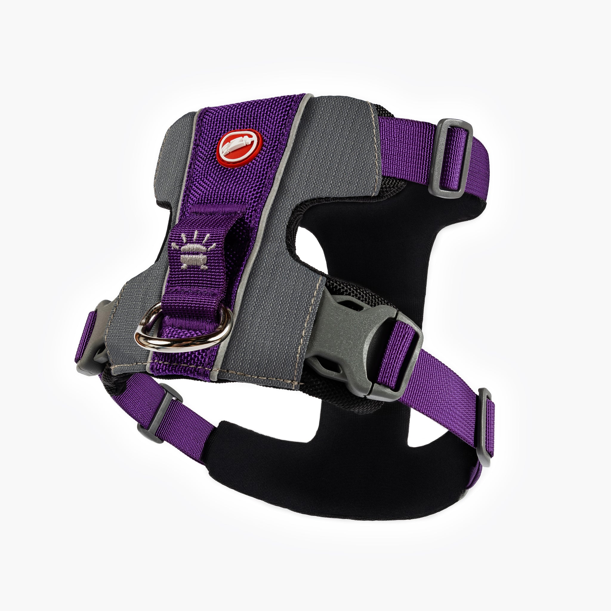 Back view of purple EzyDog X-Link Harness with padded chest plate and no-pull front clip