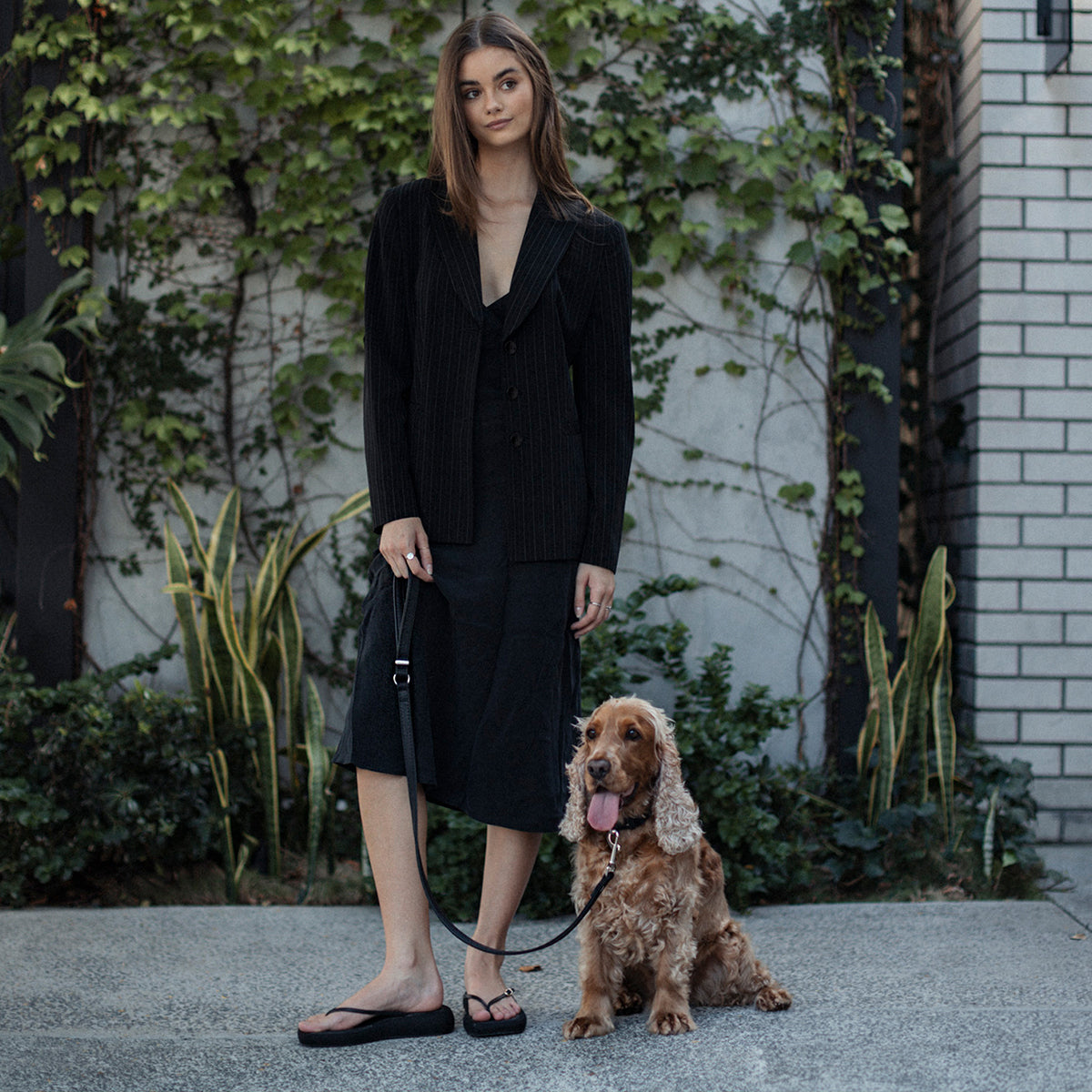 woman holding a dog using Oxford Leather - Classic Leash