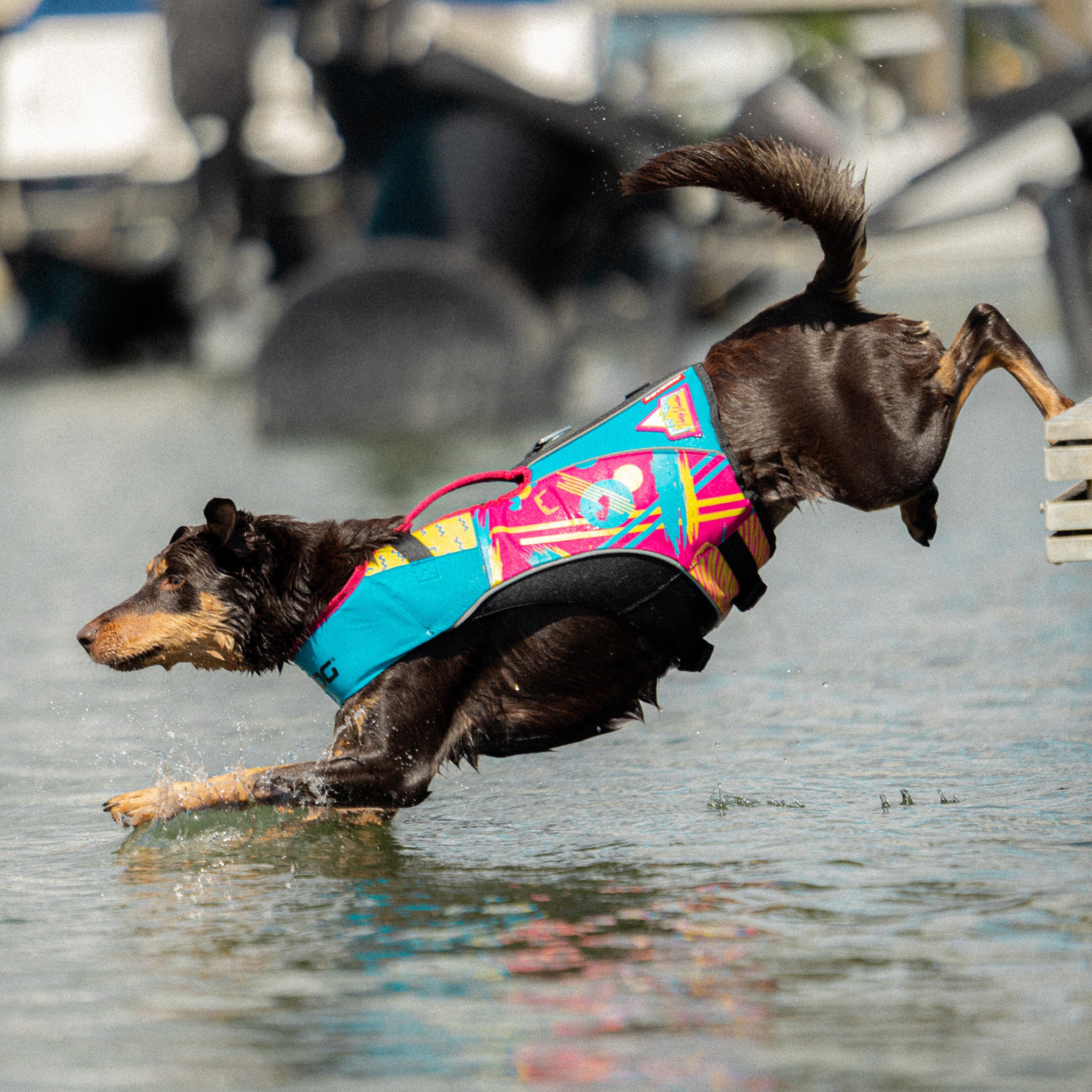 Dog wearing a Pit Viper x EzyDog DFD X2 Boost life jacket running through water with boats in the background