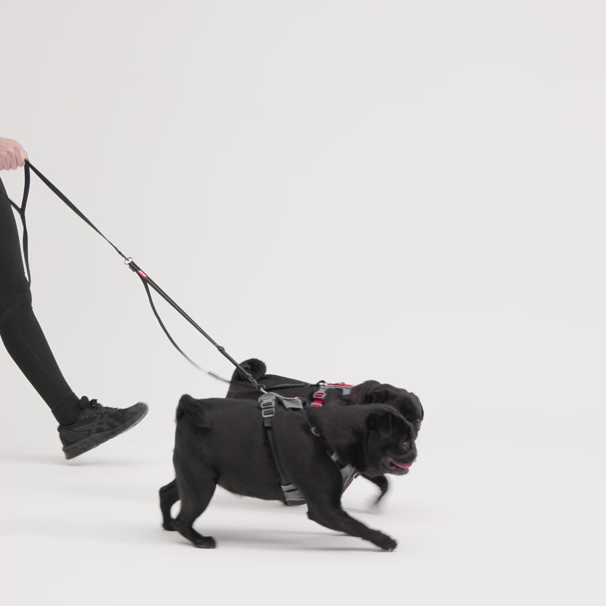 EzyDog Soft Touch Coupler LITE Walkby