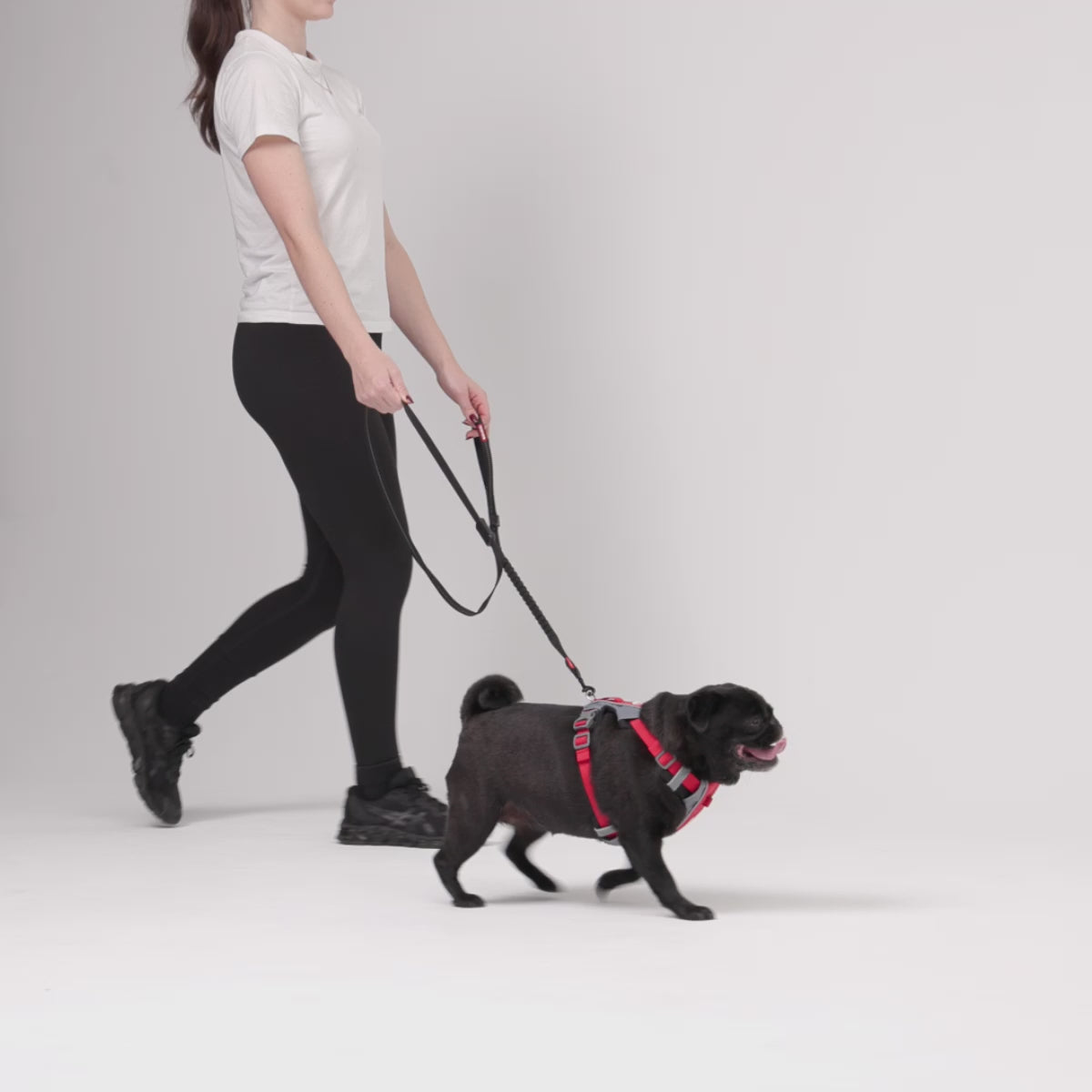 Zero Shock Leash LITE walking video