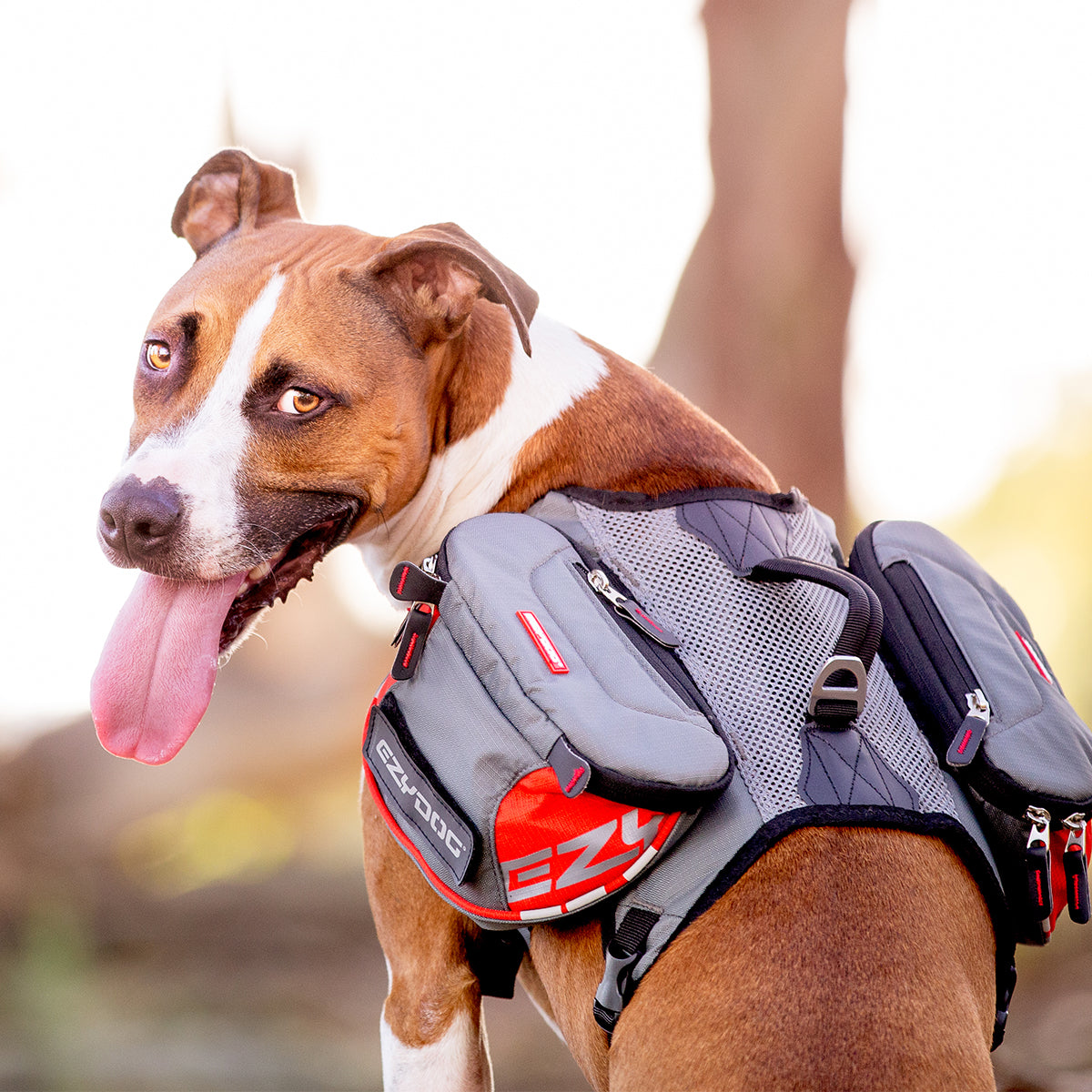 Summit dog harness with backpack