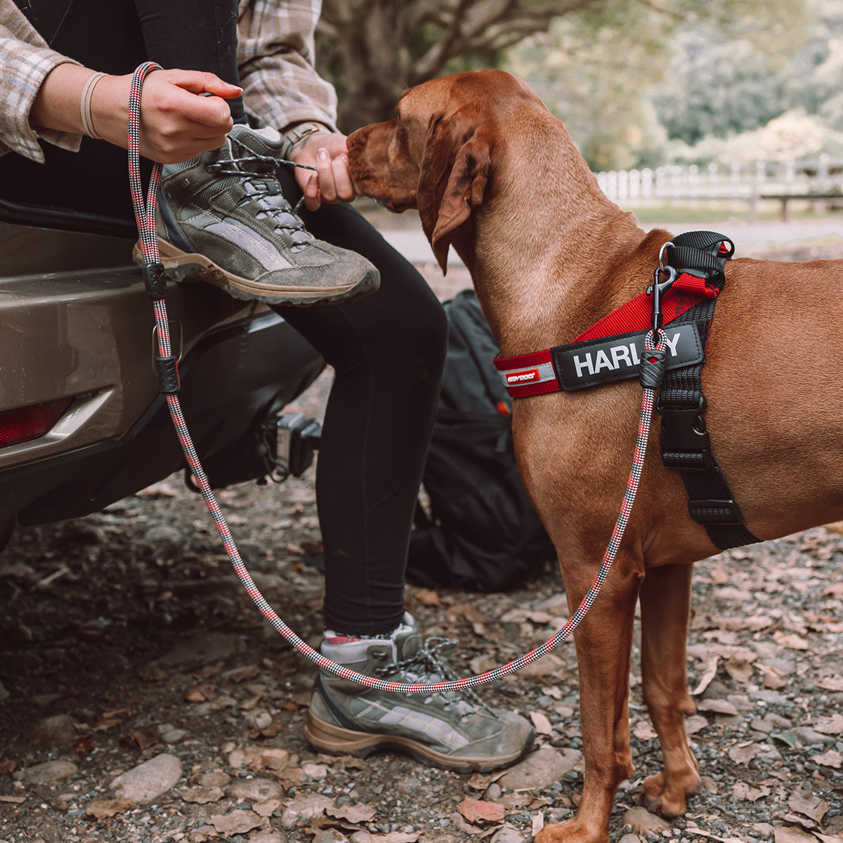 Summit Leash