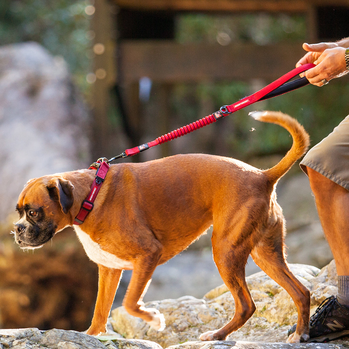 Zero Shock Leash - Camo