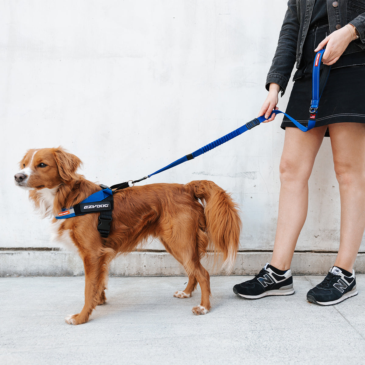 Zero Shock Leash - Camo