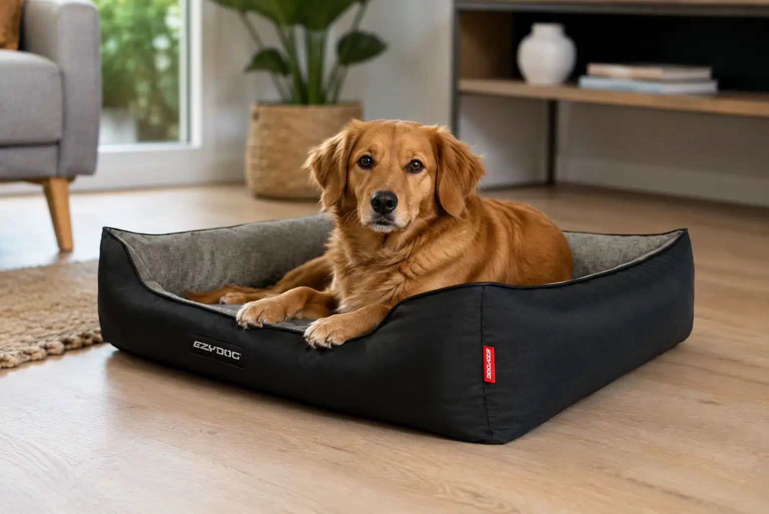 Best Medium Dog Beds in Australia