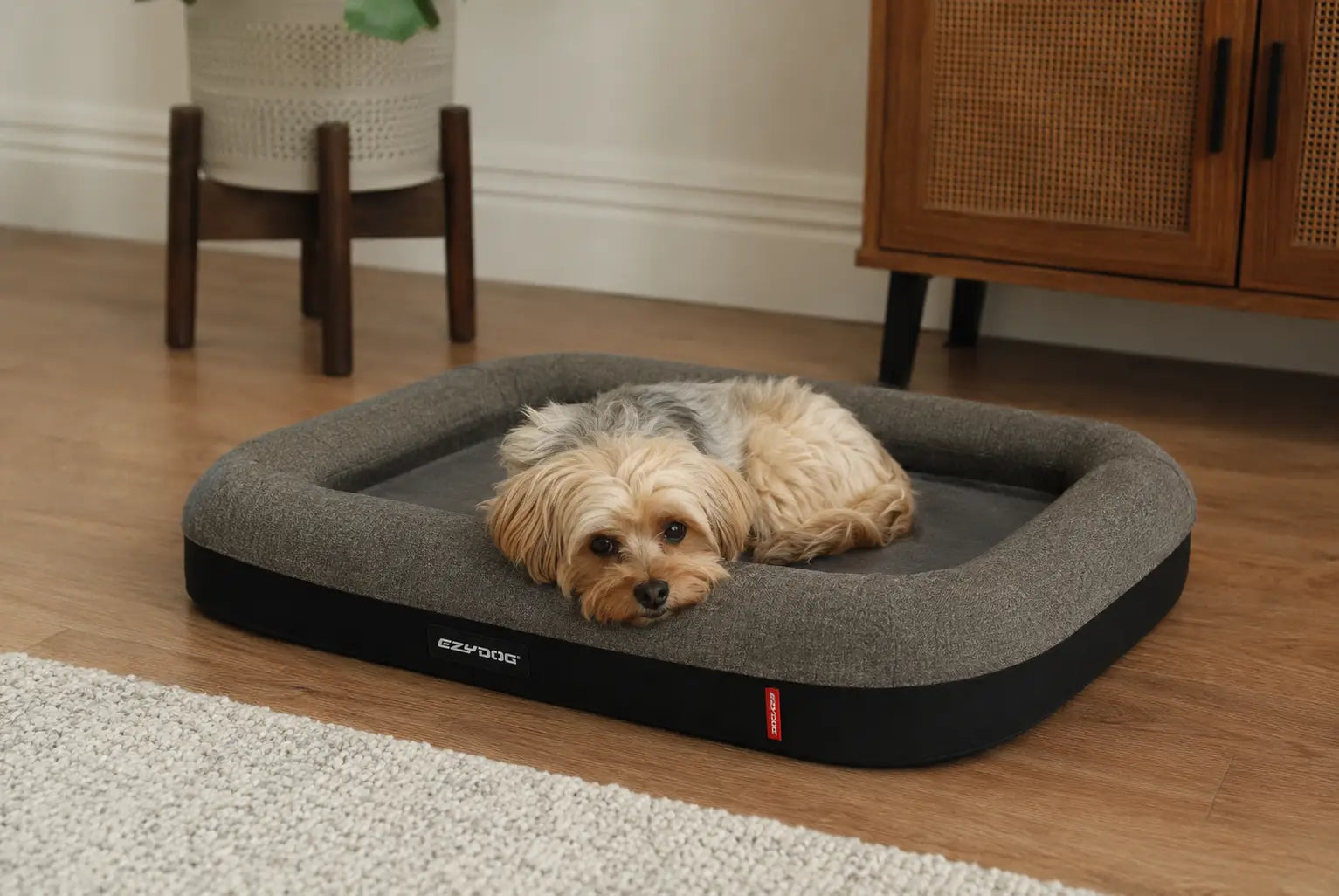 Best Small Dog Beds in Australia