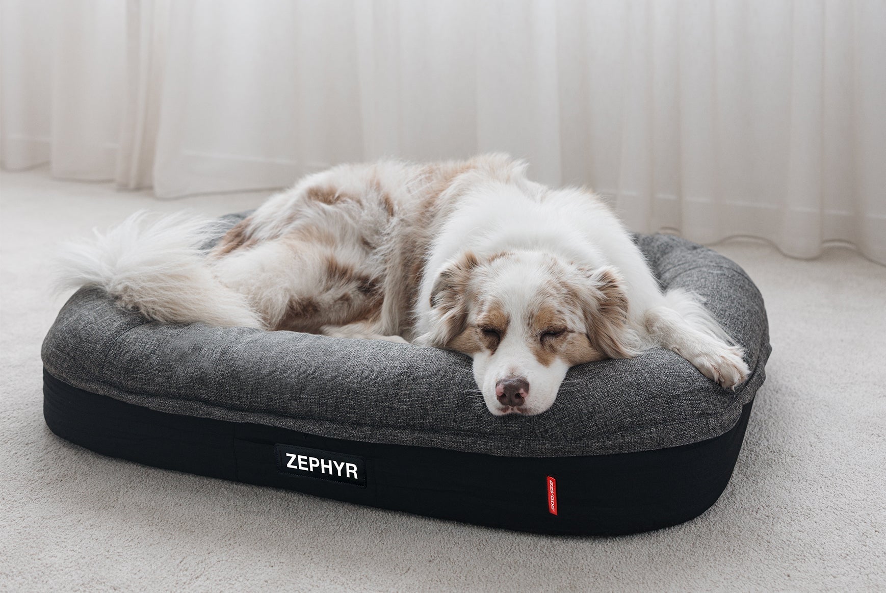 Introducing EzyDog's New Customisable Dog Beds: A Blend of Comfort, Innovation, and Personalisation