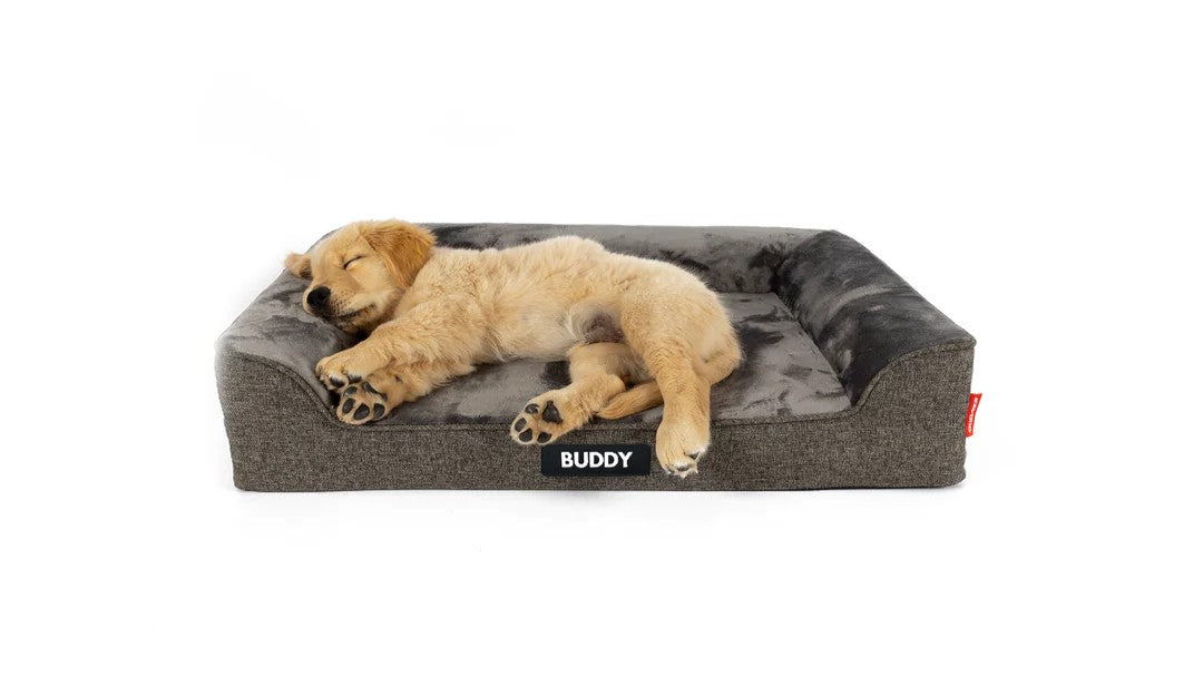 Bolster Dog Bed Australia