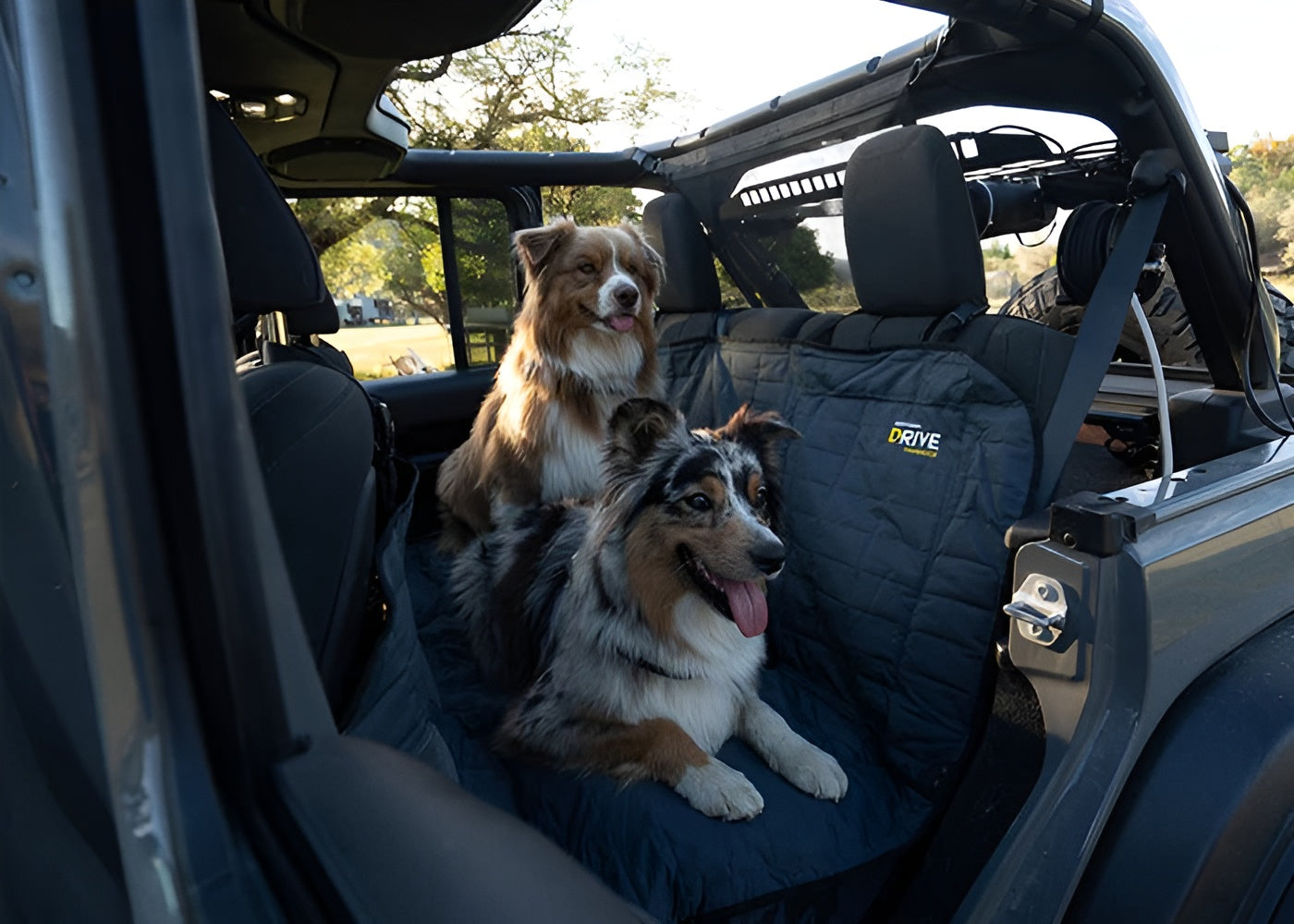 Dog Seat Cover