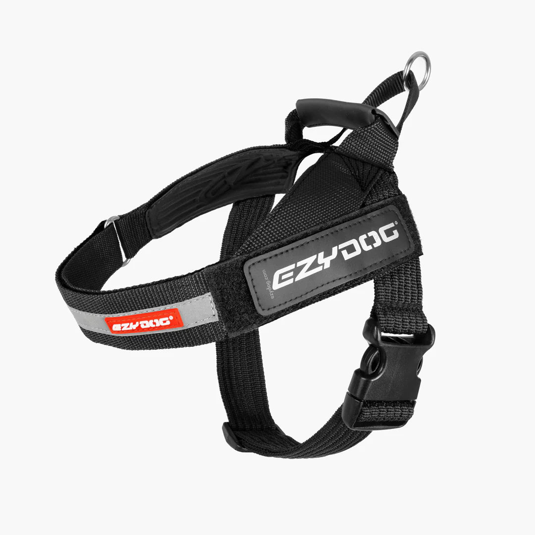 Harness instead of collar best sale