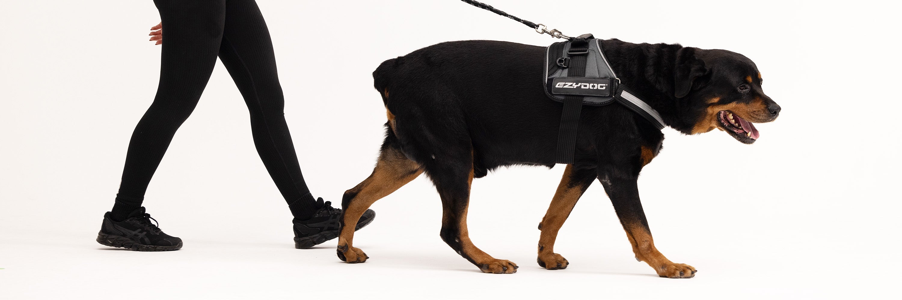 Dog Harness for Rottweilers