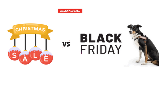 Black Friday vs. Christmas Sale
