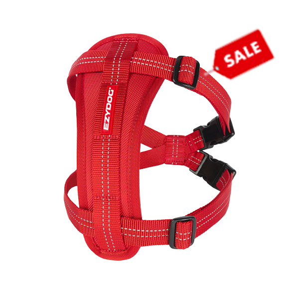 Dog Accessories Sale