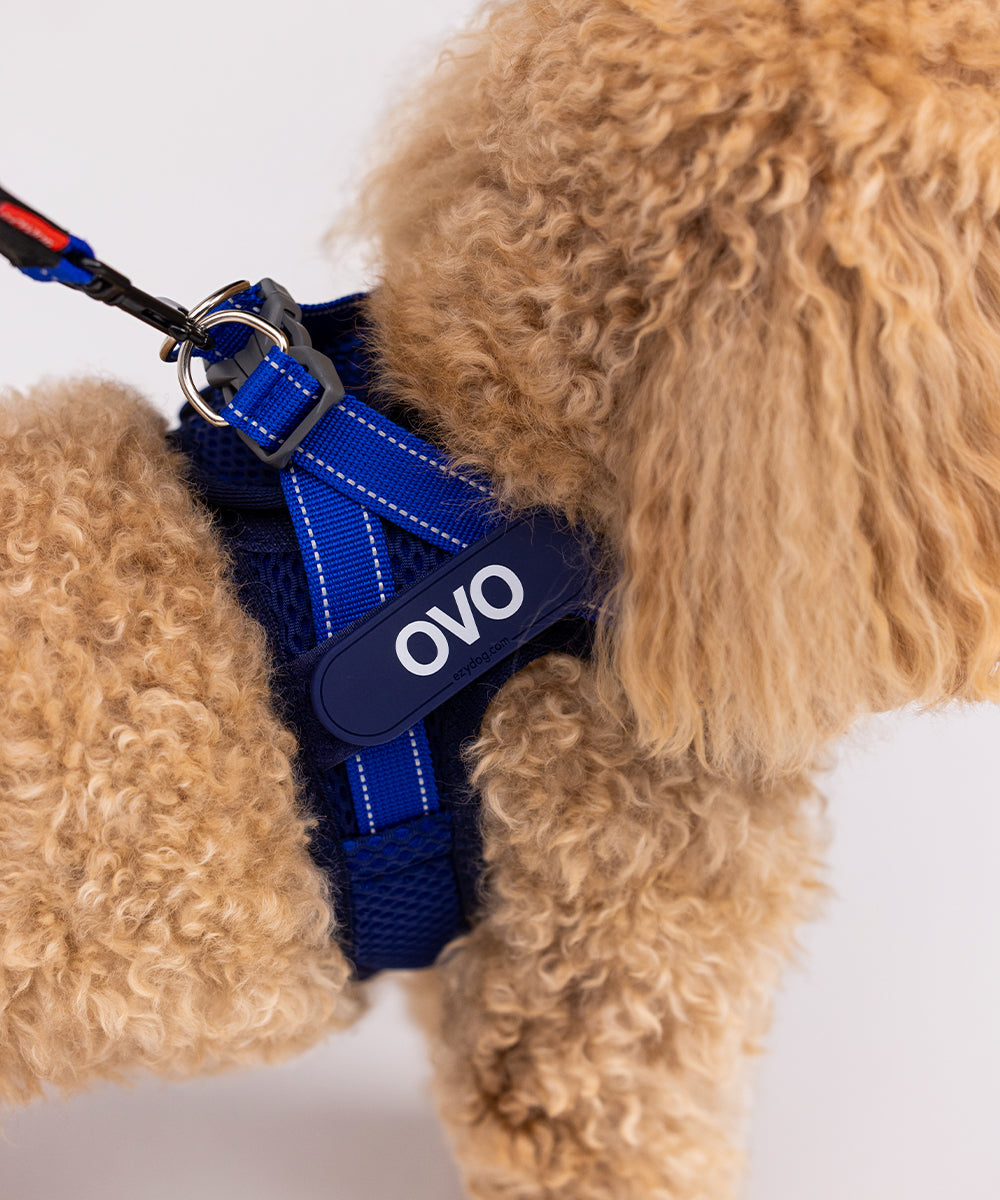 Dog Harnesses & Leashes