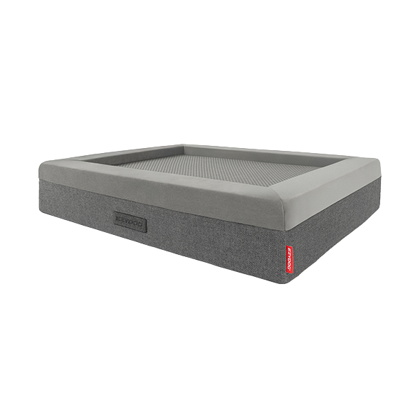Orthopedic Dog Beds