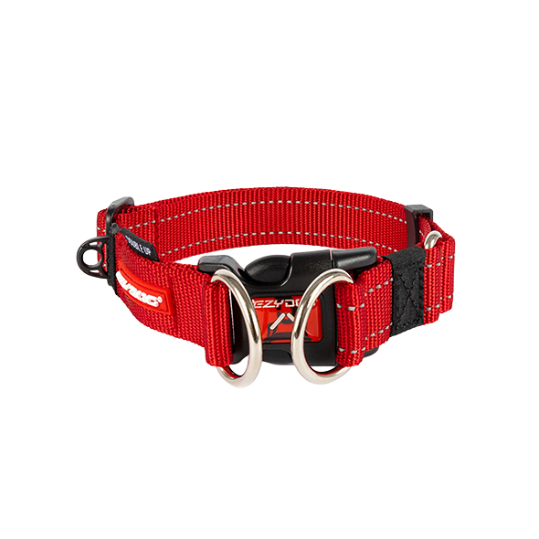 Dog Collar