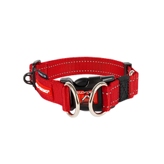 Dog Collars