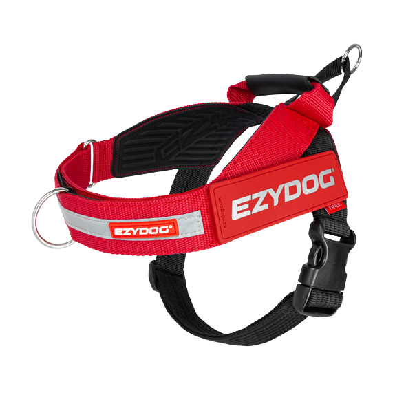 dog harness