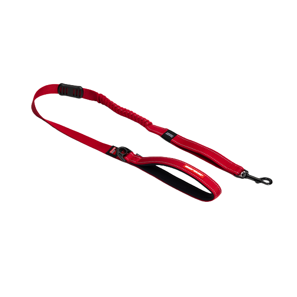 dog leash