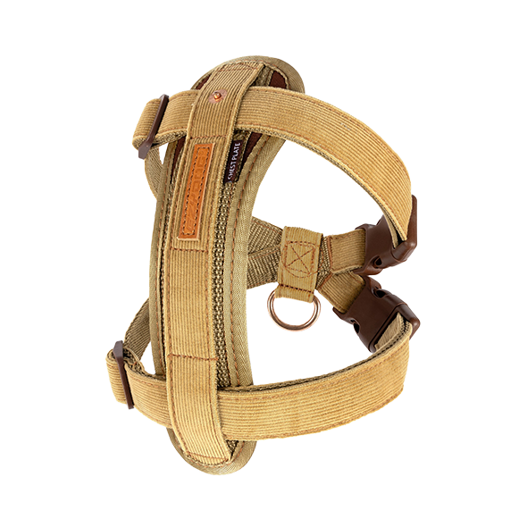 luxury dog accessories australia