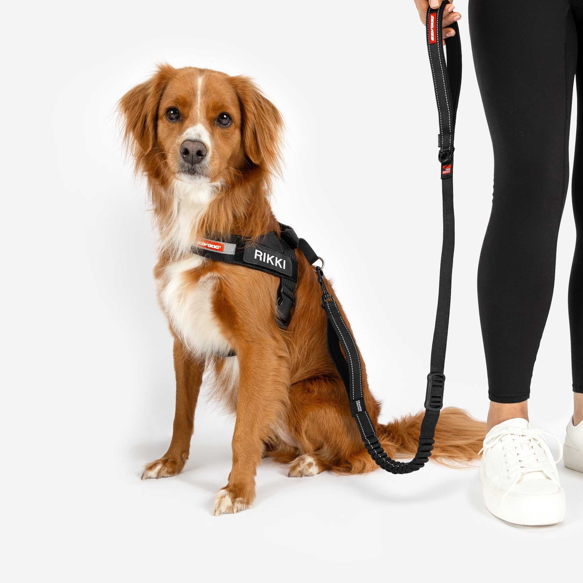 Personalised Dog Gifts