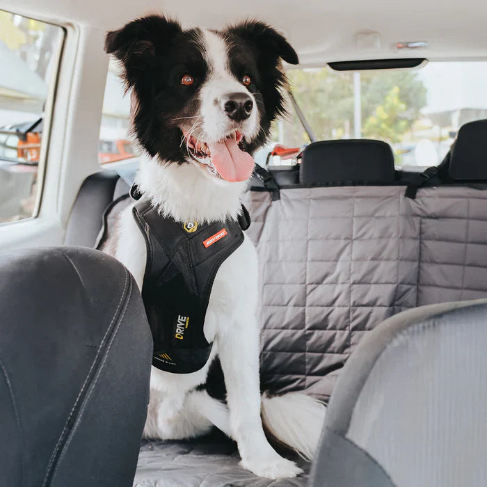 Dog Car Harnesses
