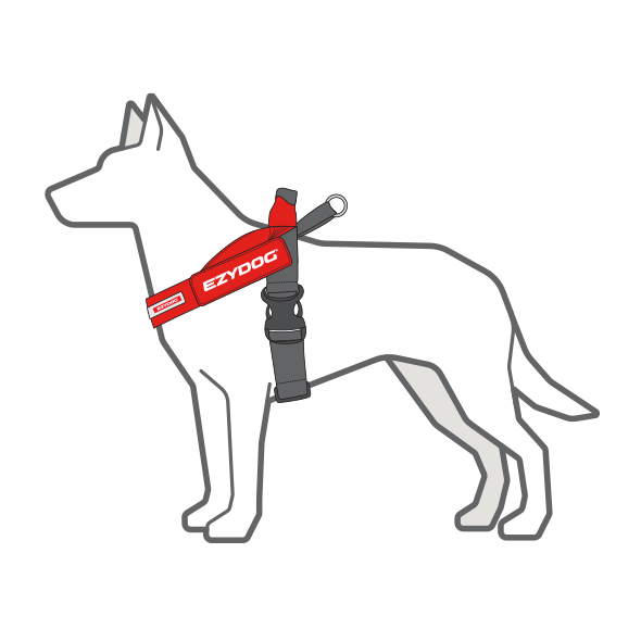Shop Dog Harnesses, Collars & Leashes