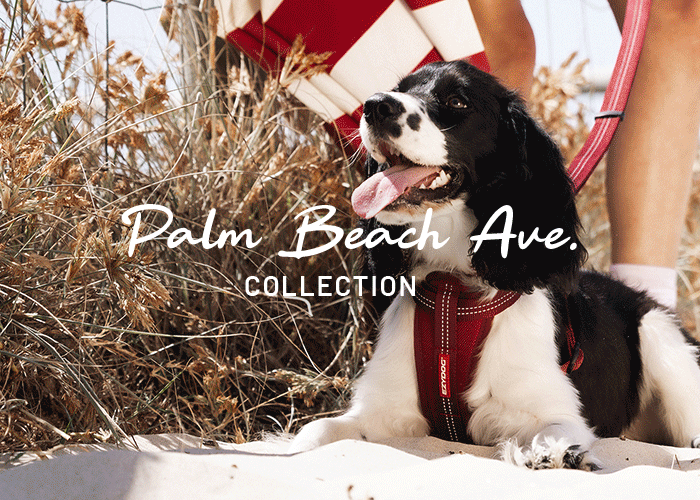 Palm Beach Ave Collection