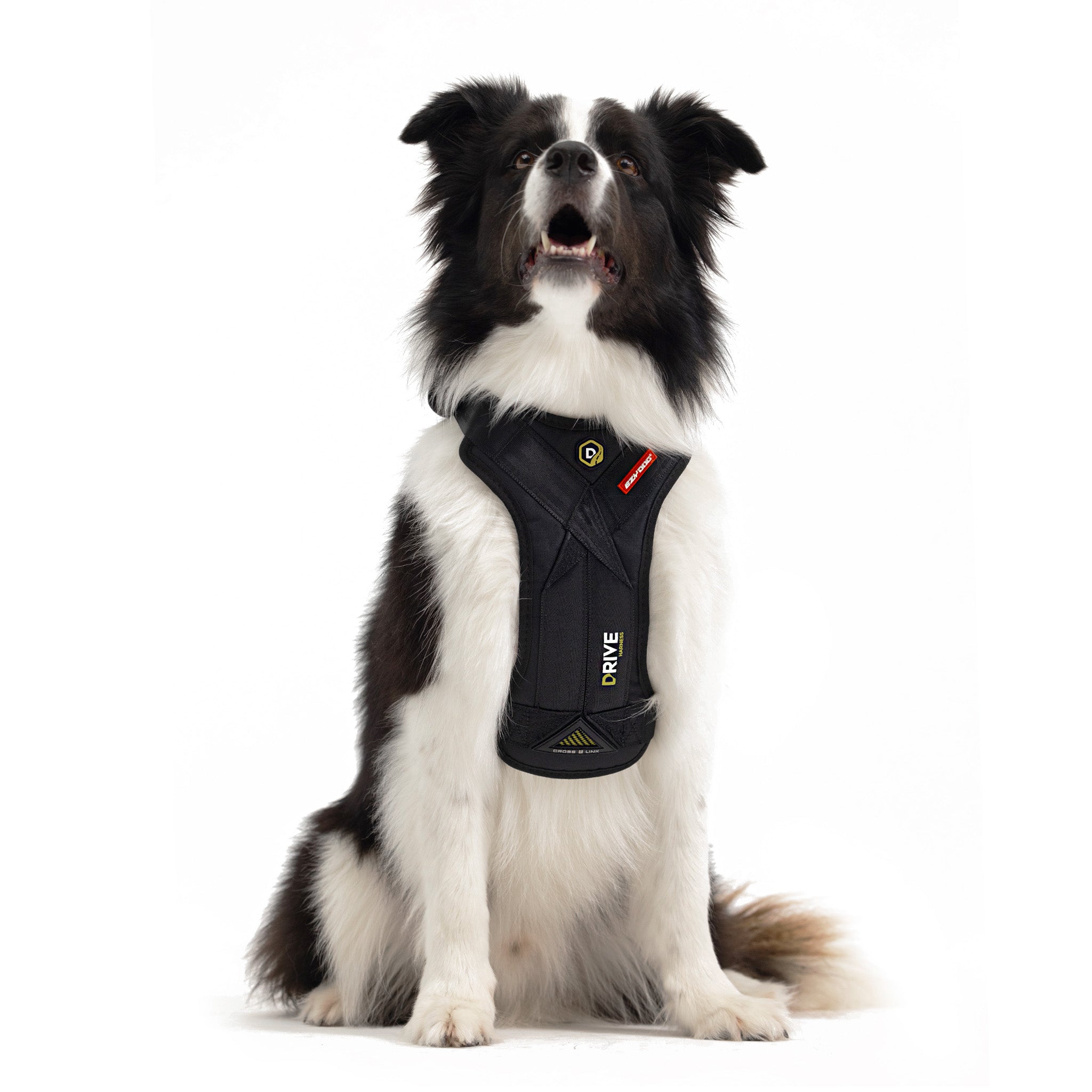 Ezydog drive harness medium hotsell