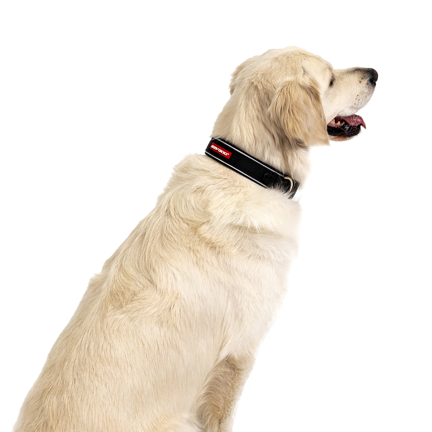 Neoprene Dog Collar Cool Dog Collars Australia Ezydog Australia