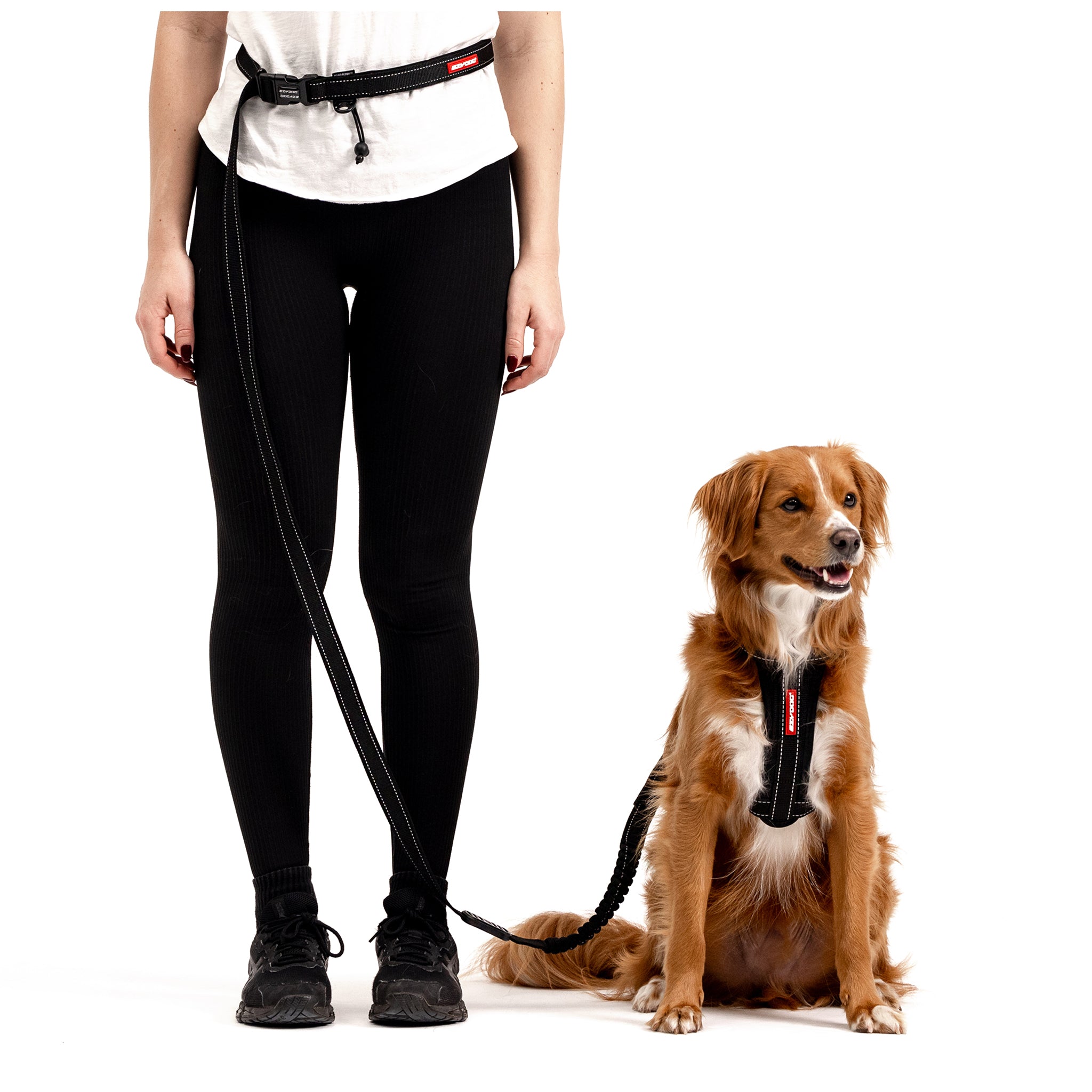 Hands Free Dog Leash Dog Running Belt