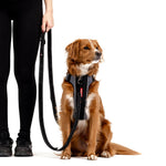 Vario 6 Multi-Function Leash