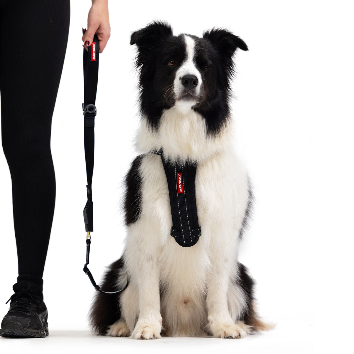 Click Leash
