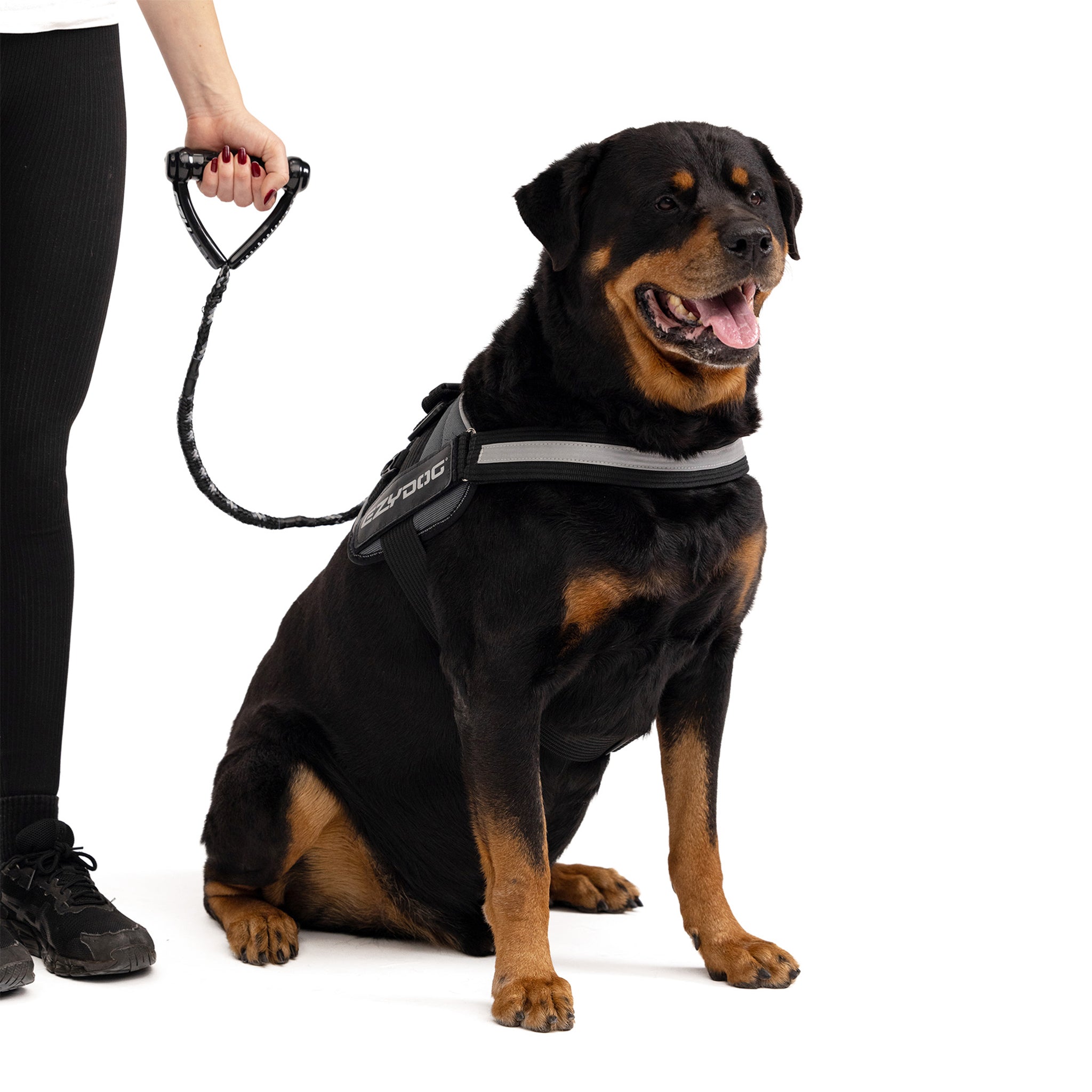 Strong dog best sale leads australia