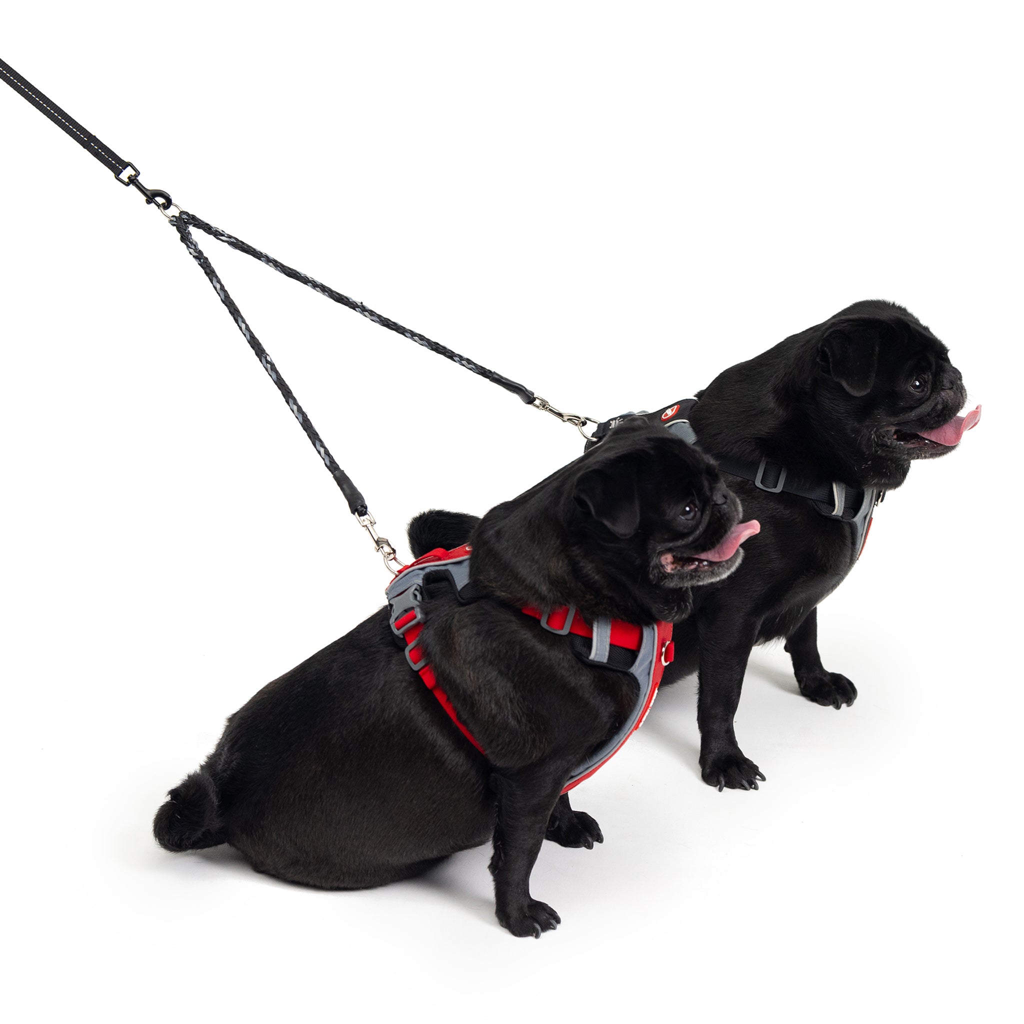 Double ended dog sales lead australia