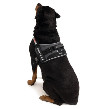 Convert Dog Harness – The Best Dog Control Vest for Walking