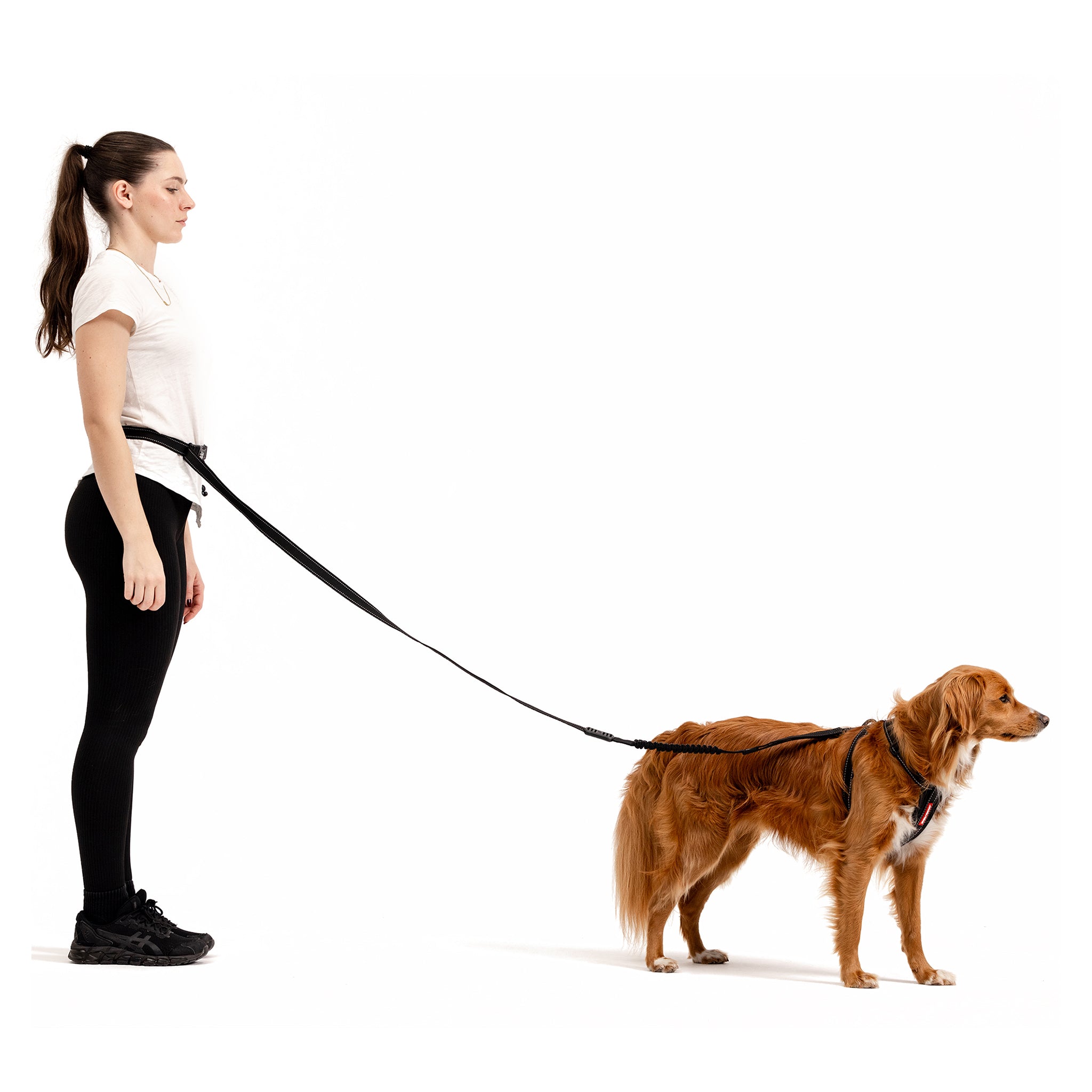 Dog running on leash best sale