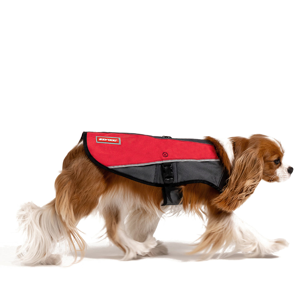 Element Dog Jacket | Rain & Cold Weather Coat