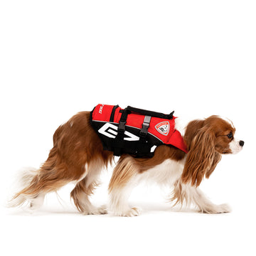 Dog Life Jacket Float Vest DFD Micro