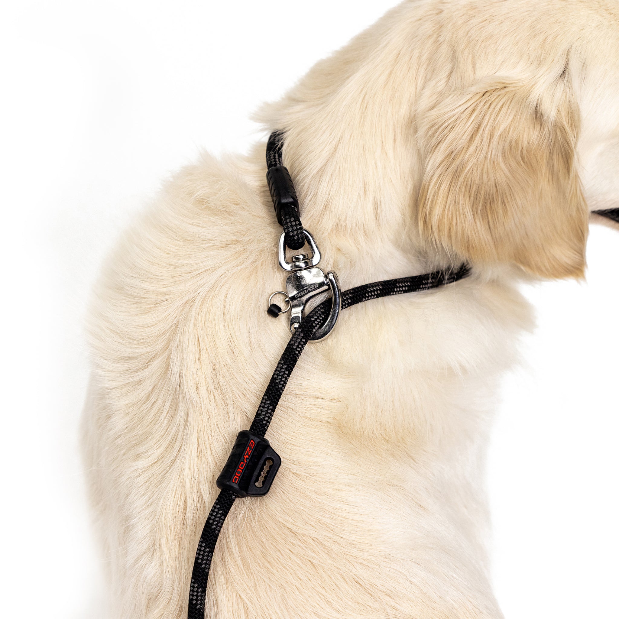 Most secure sale dog leash