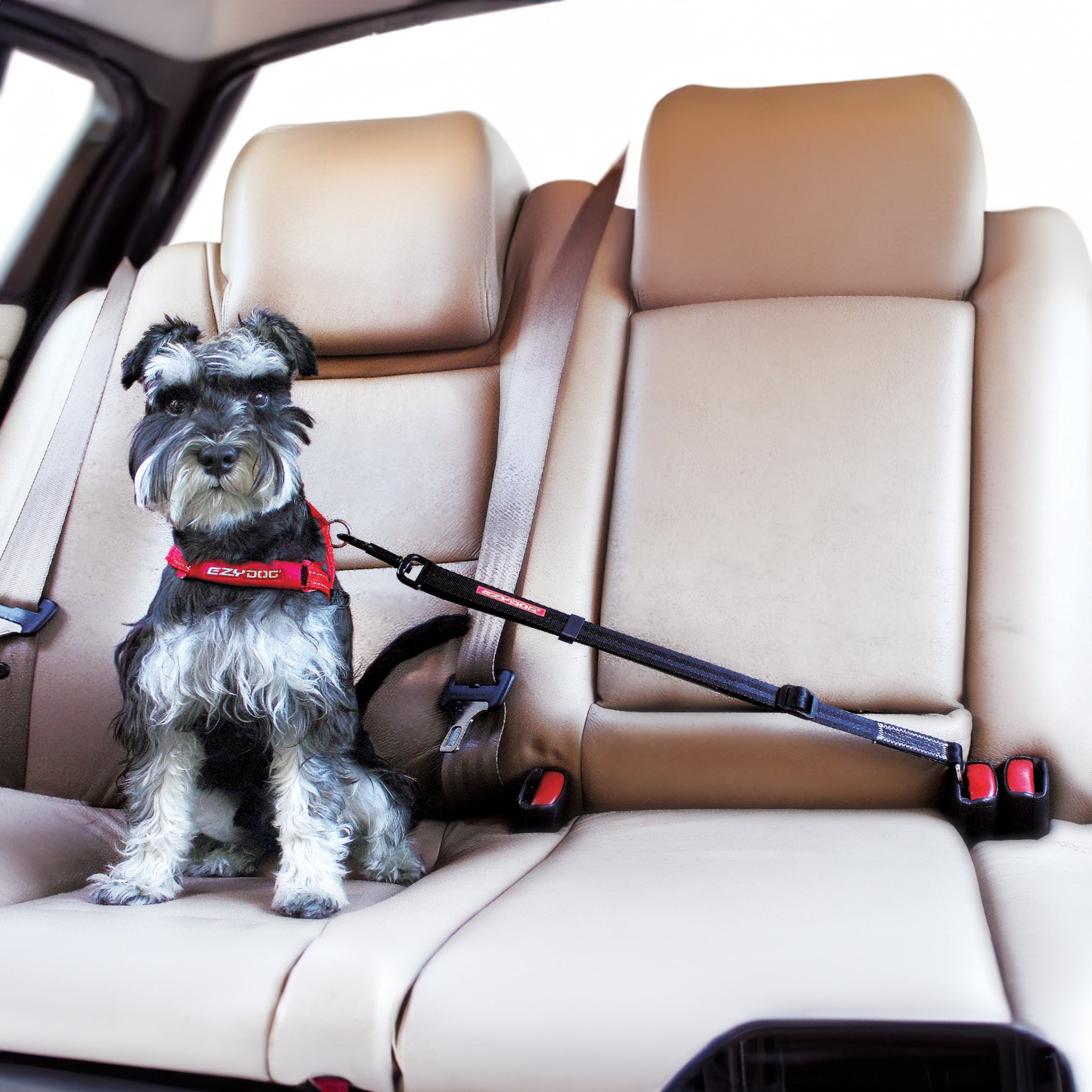 Click Dog Seat Belt